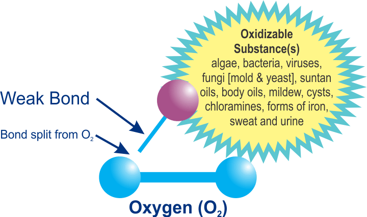 How Ozone Performs