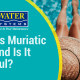 What Is Muriatic Acid and Is It Harmful?